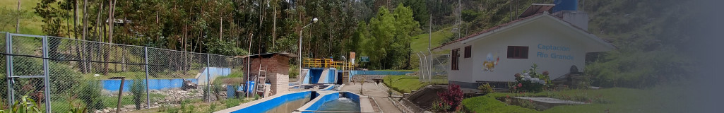 sedacaj